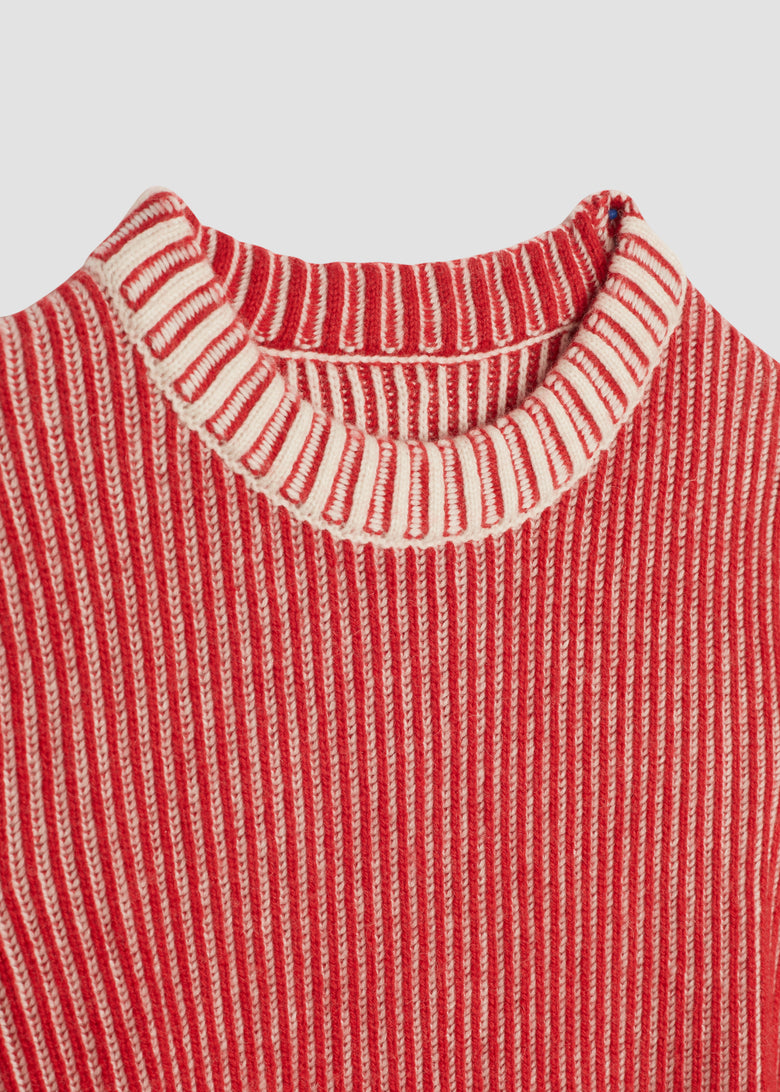 reversible jumper